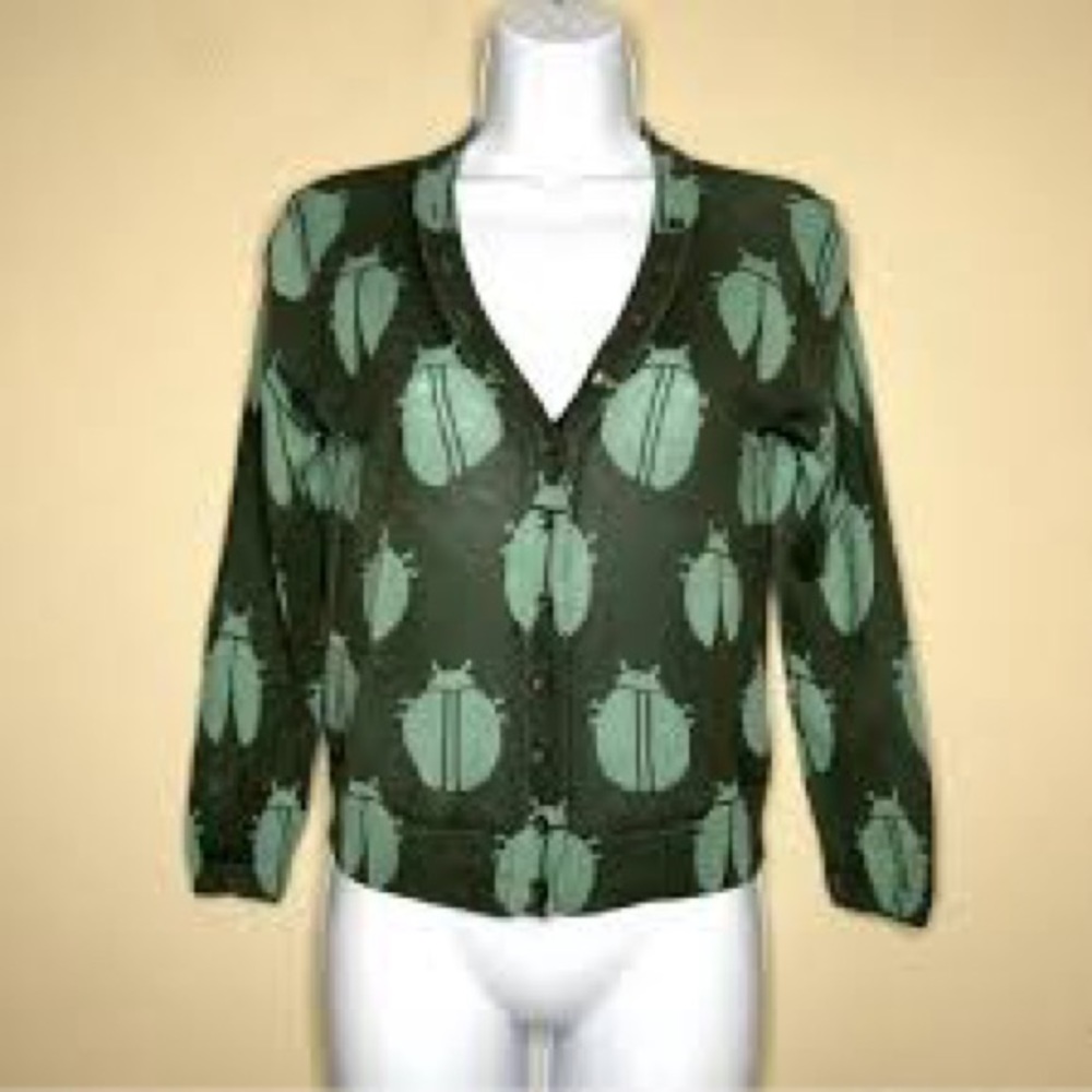 Fossil beetle cardigan balletcore cottage core